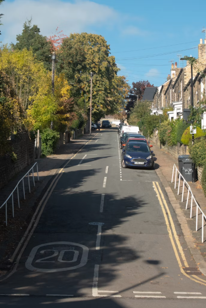 A 20mph road marking painted on a quiet, tree-lined residential street